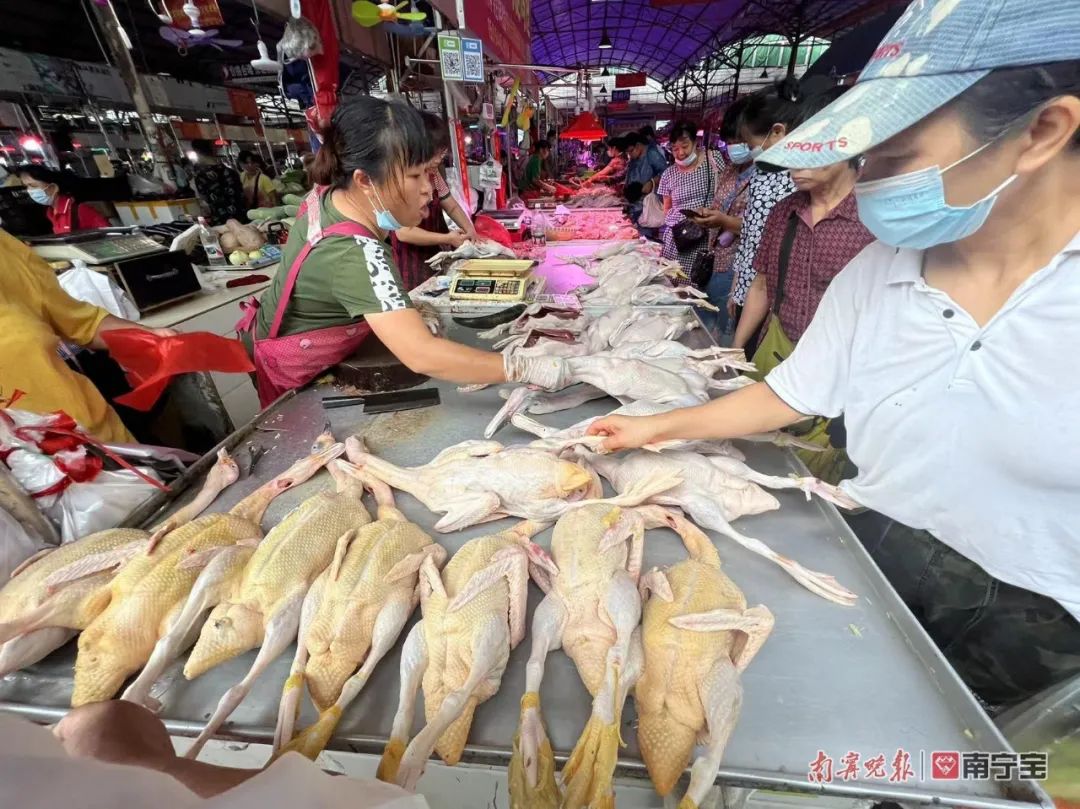 今天你吃鸭鸭了吗中元节期间南宁市场鸭子迎来销售高峰其中这个品种最