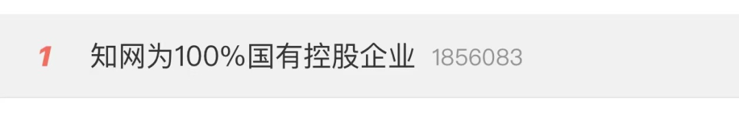 知网：公司为100%国有控股，去年支付版权费1.56亿休闲区蓝鸢梦想 - Www.slyday.coM