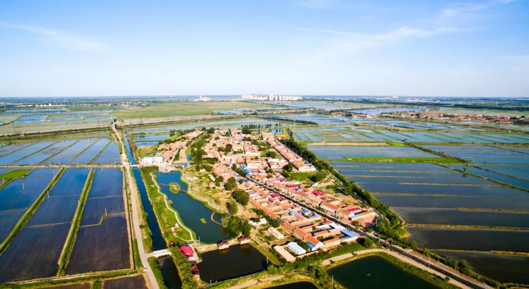 天津宝坻区稻海渔歌中焕地气增人气