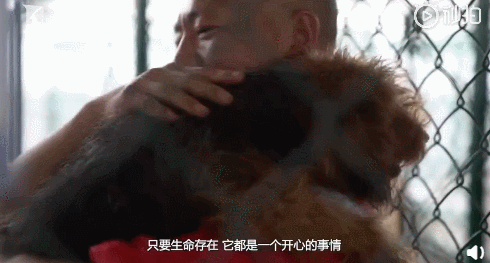 上海古寺里住了几千只猫狗，比僧人多多了，又想骗我去当和尚？休闲区蓝鸢梦想 - Www.slyday.coM