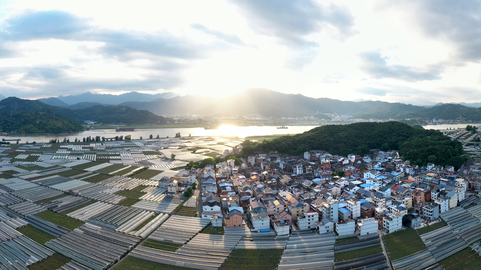 在福建省福安市赛岐镇象环村葡萄种植园,返乡创业大学生林恩辉(右),陈