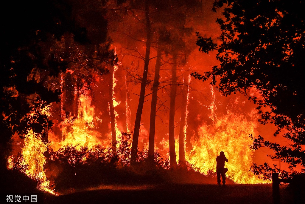 当地时间2022年8月11日,在法国西南部的贝林-贝利特,火灾现场树木在
