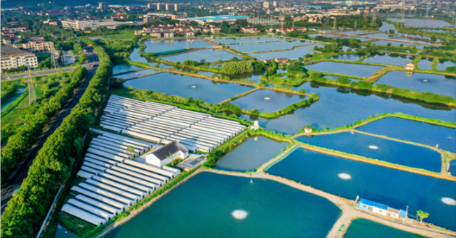 常州天宁：美丽宜居、文化繁荣、产业兴旺，描画乡村“江南百景图”休闲区蓝鸢梦想 - Www.slyday.coM