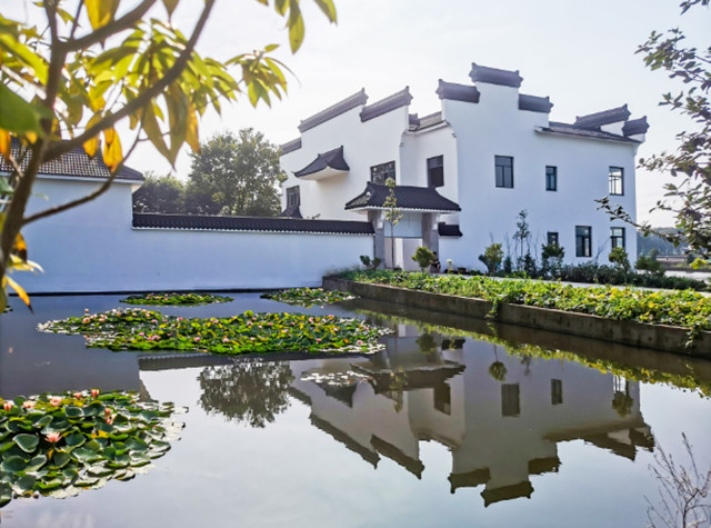 常州天宁：美丽宜居、文化繁荣、产业兴旺，描画乡村“江南百景图”休闲区蓝鸢梦想 - Www.slyday.coM