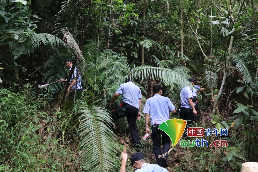 68小时不间断搜寻！广西一3岁男童失踪3天后在山里被找到休闲区蓝鸢梦想 - Www.slyday.coM