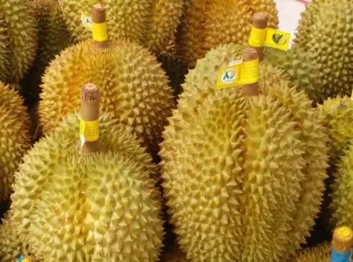 今天才知道，买榴莲不能挑开裂的，水果店员工教你1招，皮薄肉厚香又甜休闲区蓝鸢梦想 - Www.slyday.coM