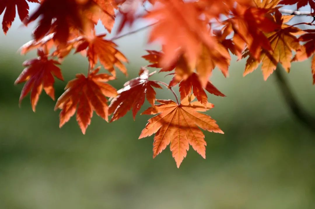 老公以玩笑之名打五岁儿子耳光，这样做合适不