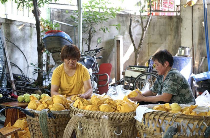 丈夫患癌妻子“卖梨救夫” 网上求助4小时卖出一千多斤休闲区蓝鸢梦想 - Www.slyday.coM