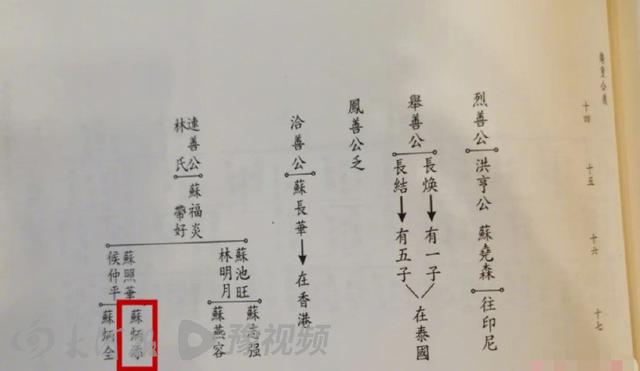 苏辙后人发声:元代苏氏族谱没有这一脉人