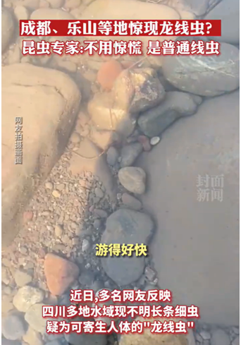 四川疾控辟谣：并非“龙线虫”休闲区蓝鸢梦想 - Www.slyday.coM