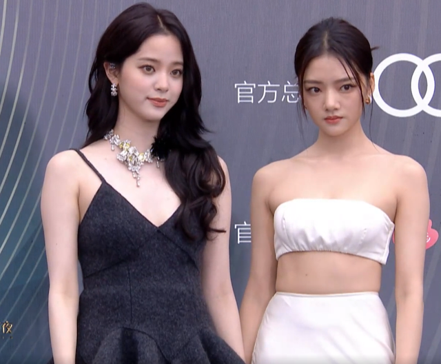 电影之夜红毯生图：刘亦菲高定裙显胖，李冰冰状态佳，王一博帅气休闲区蓝鸢梦想 - Www.slyday.coM