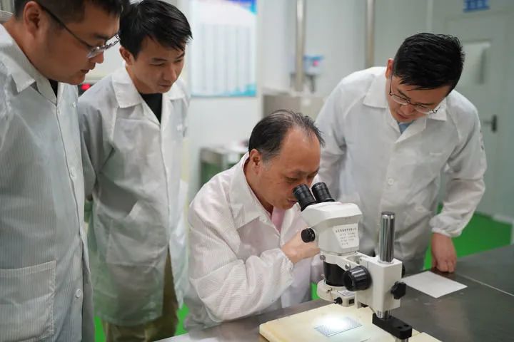 江风益在位于南昌高新区的实验室内与团队成员一起工作（2022年8月5日摄）。新华社记者 周密 摄