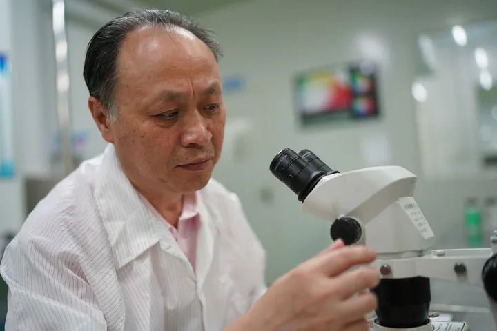 江风益在位于南昌高新区的实验室内工作（2022年8月5日摄）。新华社记者 周密 摄