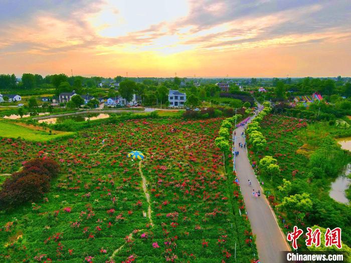 湖北枝江从美丽乡村向美丽经济蜕变