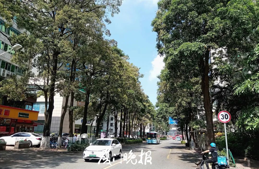 这浓烈的气味又来了！厦门市民直呼存在感十足！原来竟是……休闲区蓝鸢梦想 - Www.slyday.coM