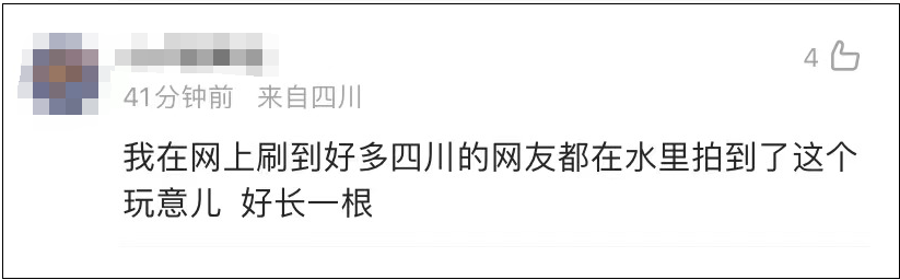 四川多地水域出现“龙线虫”？官方回应！休闲区蓝鸢梦想 - Www.slyday.coM