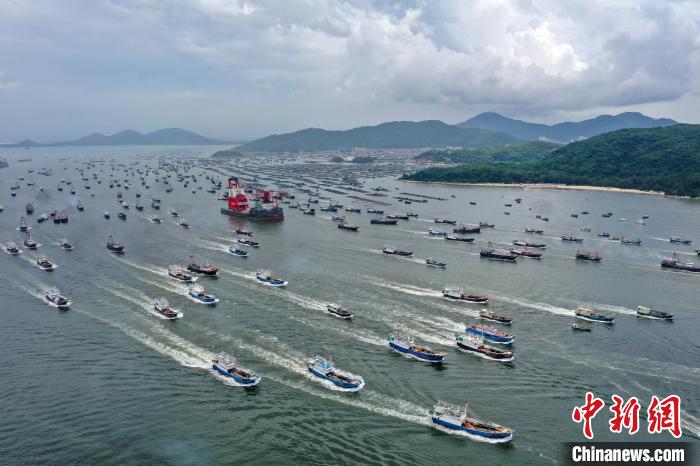 逾800艘渔船争"鲜"出海 陈骥旻 摄