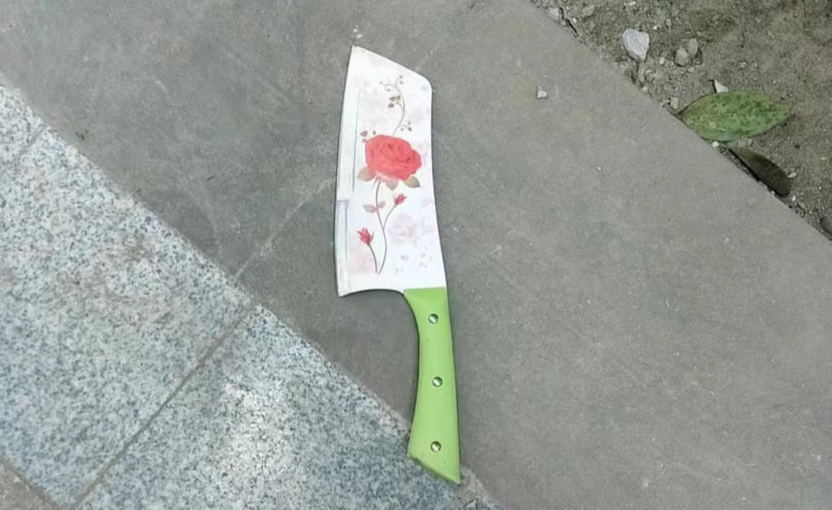 惊心！某小区高空抛下4把菜刀，警方已介入调查休闲区蓝鸢梦想 - Www.slyday.coM