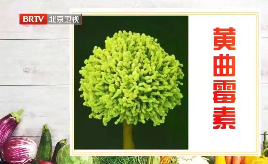 快停下！这些常吃的食物都是癌细胞的“帮凶”！每多吃一口都在伤害你！休闲区蓝鸢梦想 - Www.slyday.coM