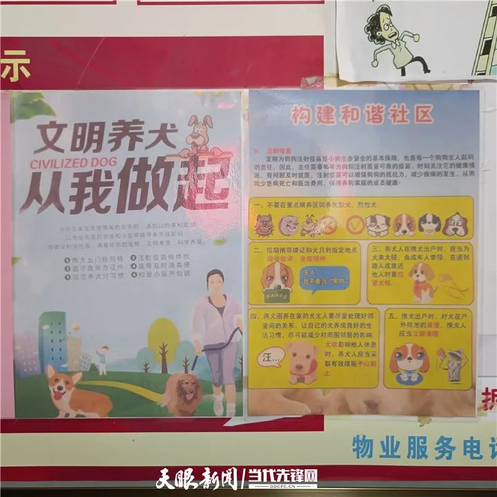 贵阳一小区狗狗陆续死亡，业主怀疑有人故意投毒……休闲区蓝鸢梦想 - Www.slyday.coM