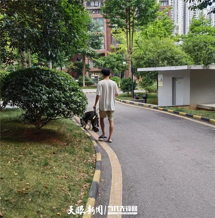 贵阳一小区狗狗陆续死亡，业主怀疑有人故意投毒……休闲区蓝鸢梦想 - Www.slyday.coM