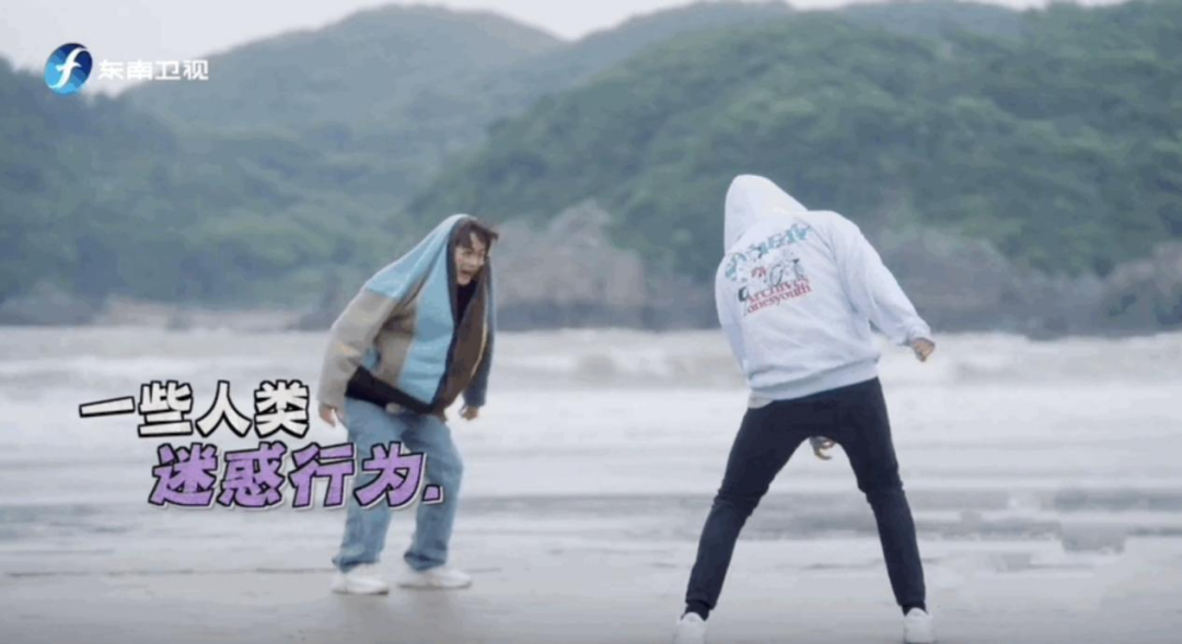 你可以怀疑“0713”男团的精神状态，但不能怀疑他们带来的快乐！休闲区蓝鸢梦想 - Www.slyday.coM