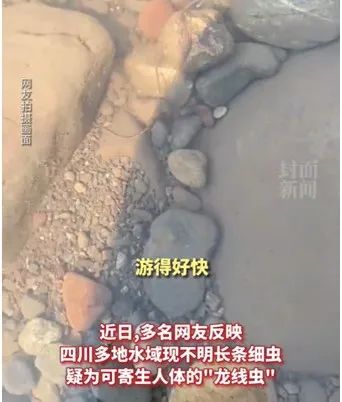 四川多地水域出现“龙线虫”？官方回应！休闲区蓝鸢梦想 - Www.slyday.coM