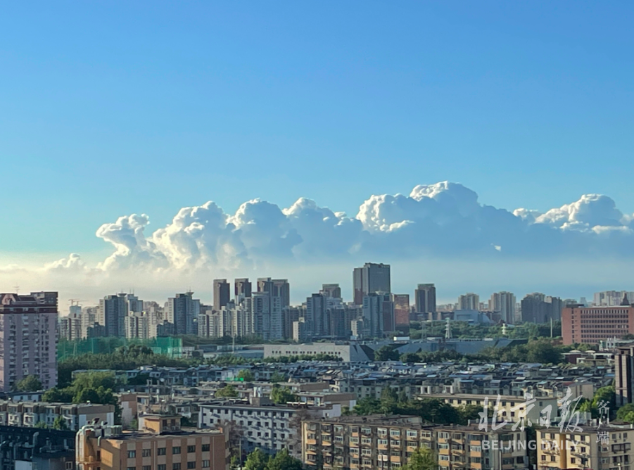 91网站入口截图