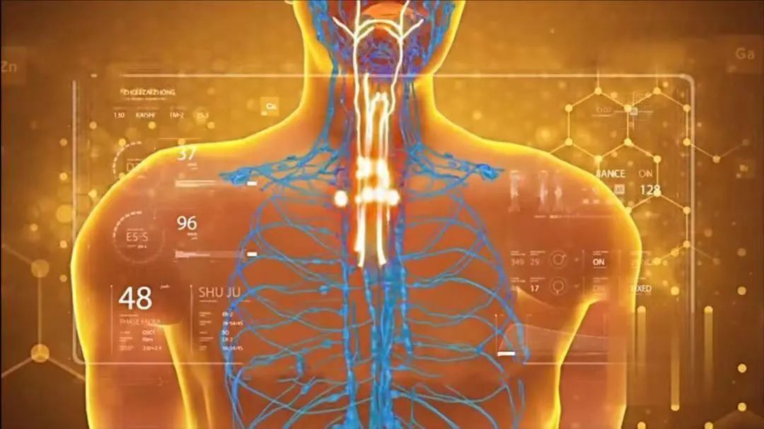 快停下！这些常吃的食物都是癌细胞的“帮凶”！每多吃一口都在伤害你！休闲区蓝鸢梦想 - Www.slyday.coM