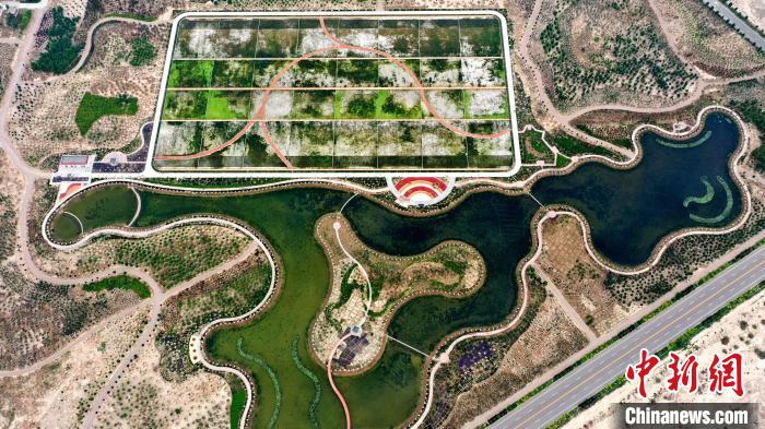 甘肃民勤变污水为生态活水沙漠腹地打造人工湿地