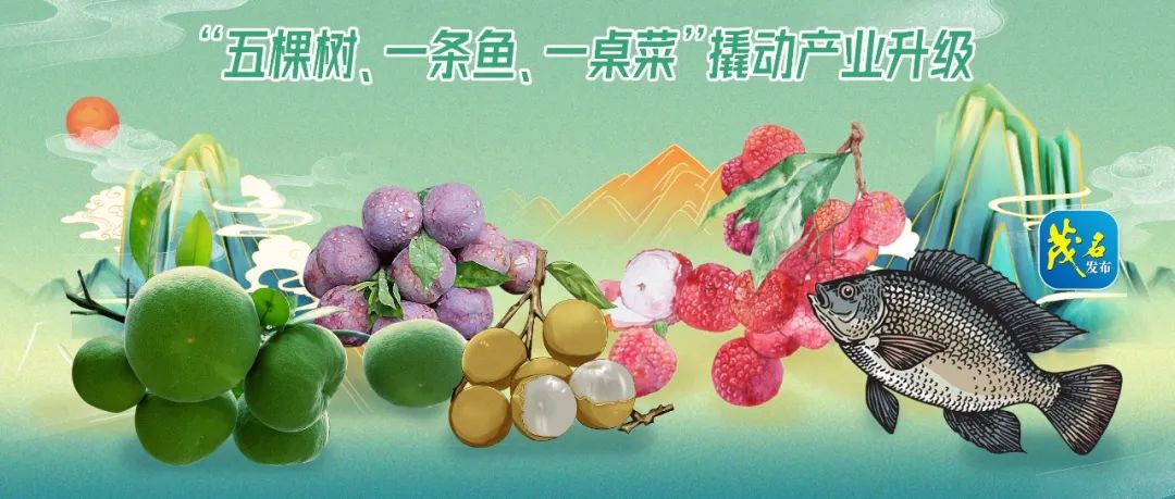 想买黄桃树苗大概多少钱一棵呢