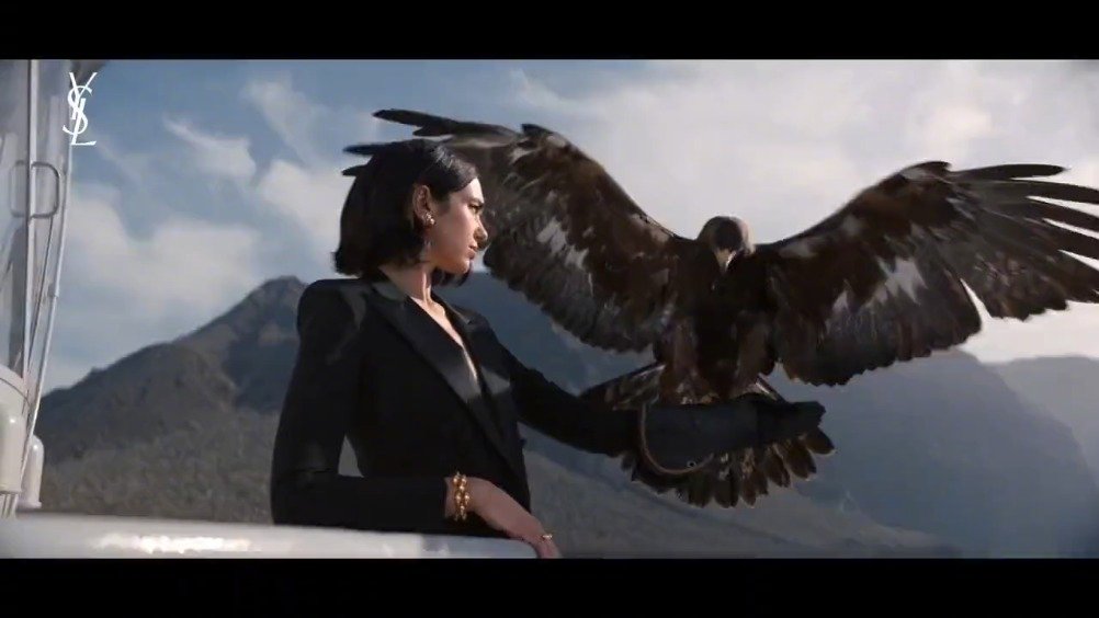 啪姐dua lipa最新ysl宣传片释出!
