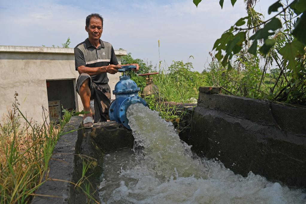 在庐山市沙湖山管理处提灌站附近,杨柳津河河水经一个涵闸穿过河堤