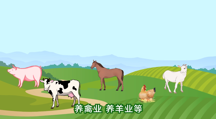 【三农词条】你知道猪马牛羊是怎么被驯化的么?|三农_新浪财经_新浪网