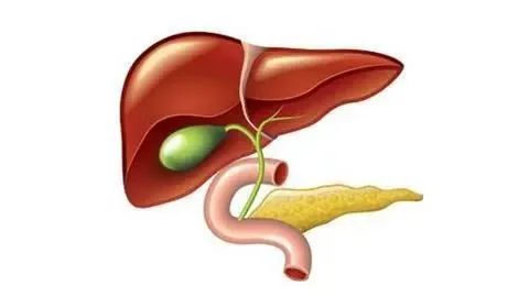 胆囊早已切除,医生却说我"胆汁淤积"__财经头条