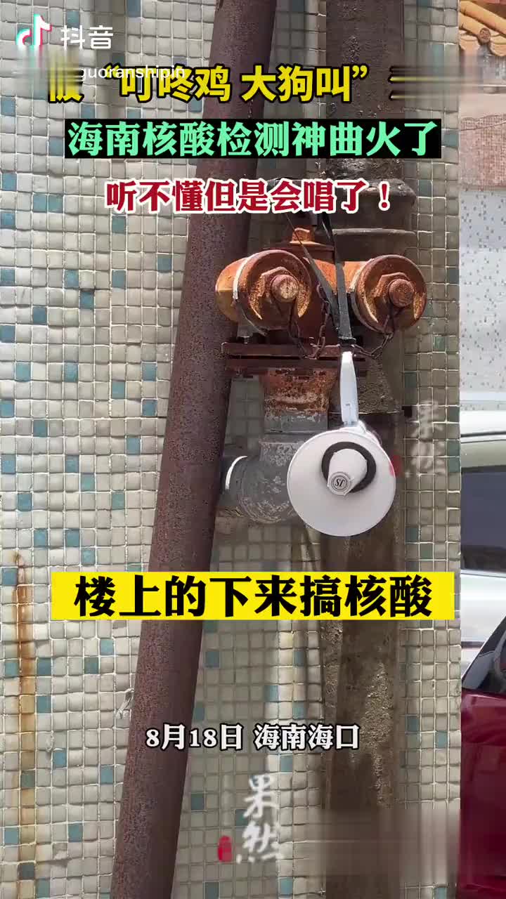 被“叮咚鸡 大狗叫”洗脑!|狗|鸡_新浪新闻