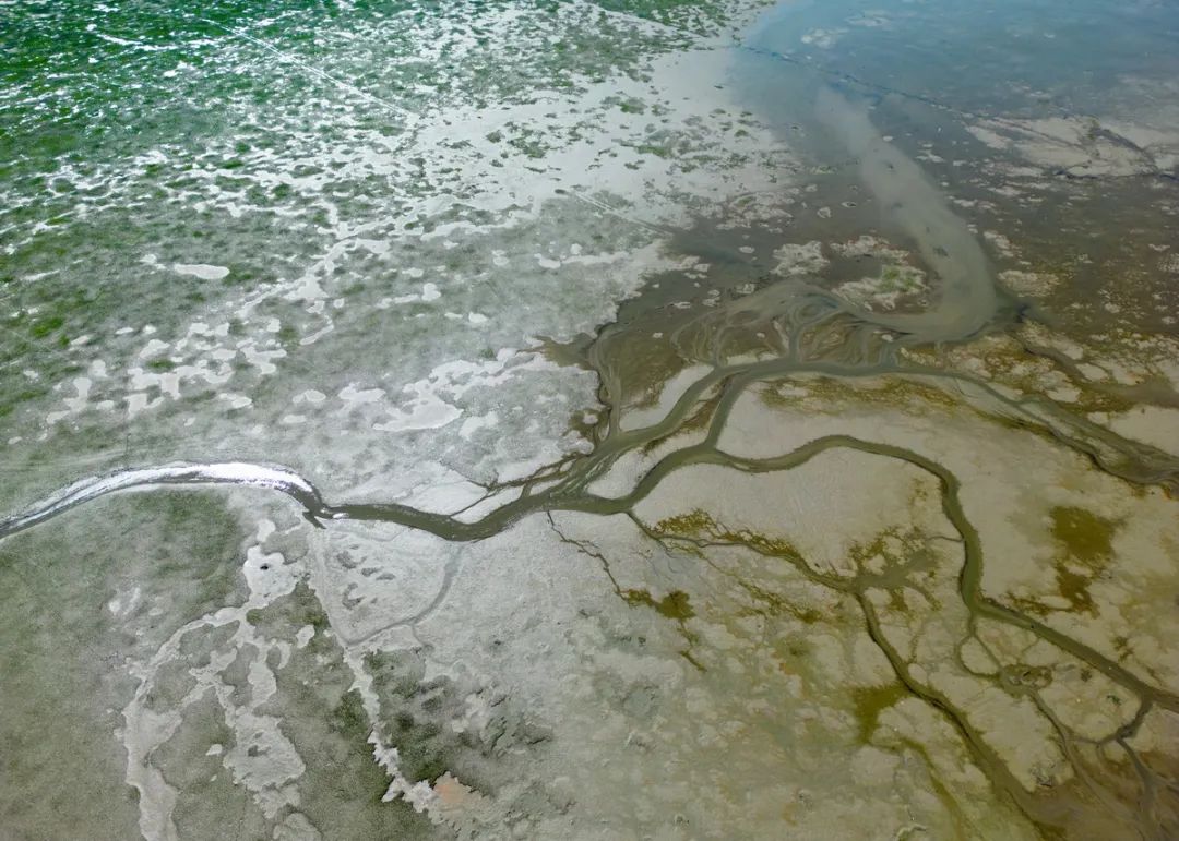 On August 8, 2022, the beach of Poyang Lake is exposed in Jiujiang, Jiangxi.