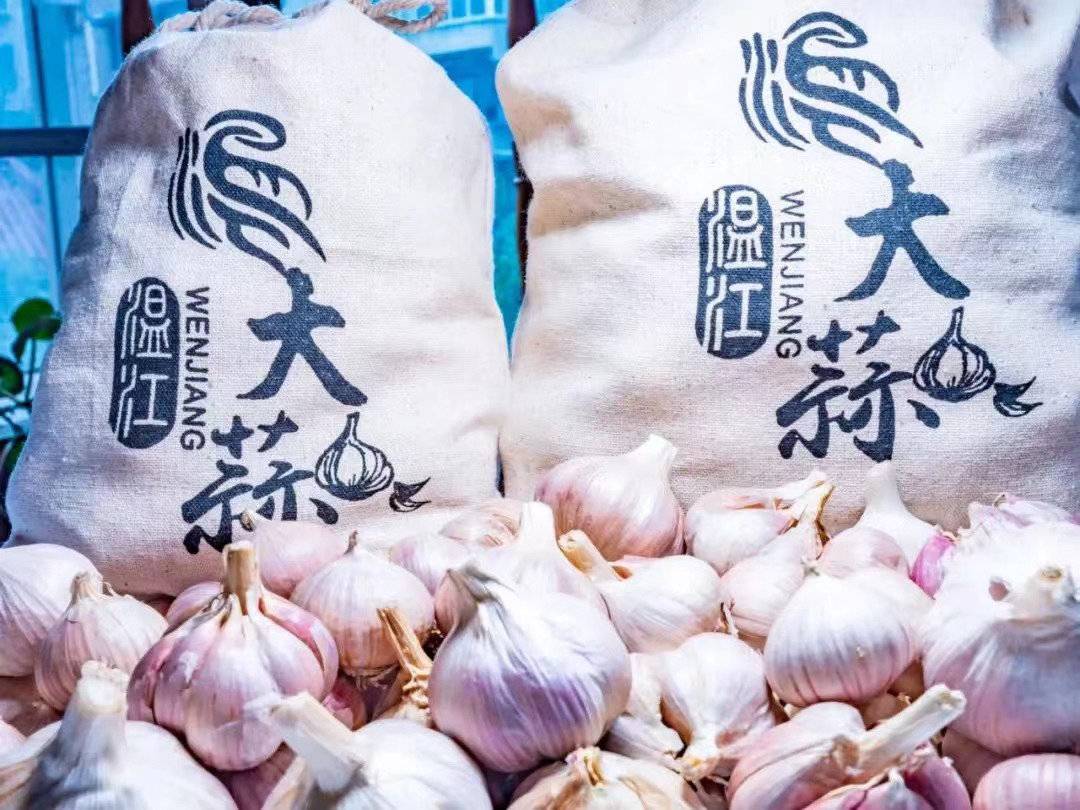 拨响高质量发展金"蒜"盘 2022四川大蒜节在成都温江举行|温江|大蒜