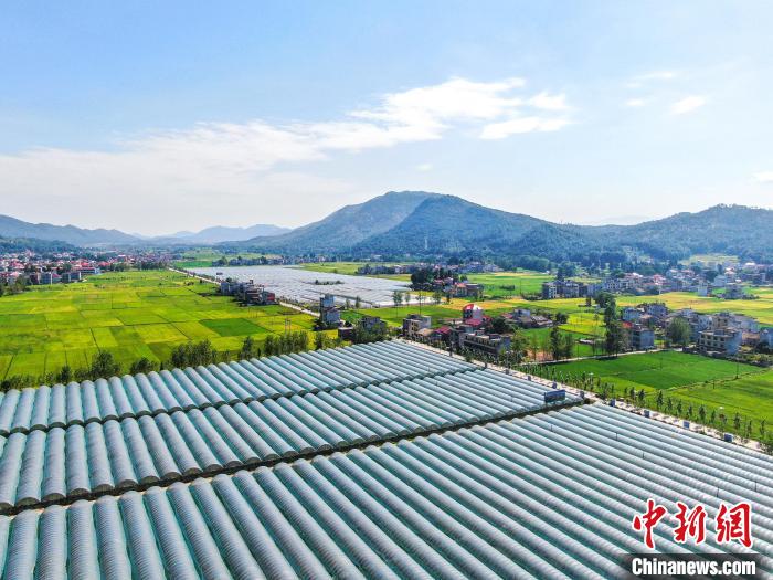 航拍江西永新多彩田园 一幅秀美山乡画卷|田野|水稻|航拍_新浪新闻