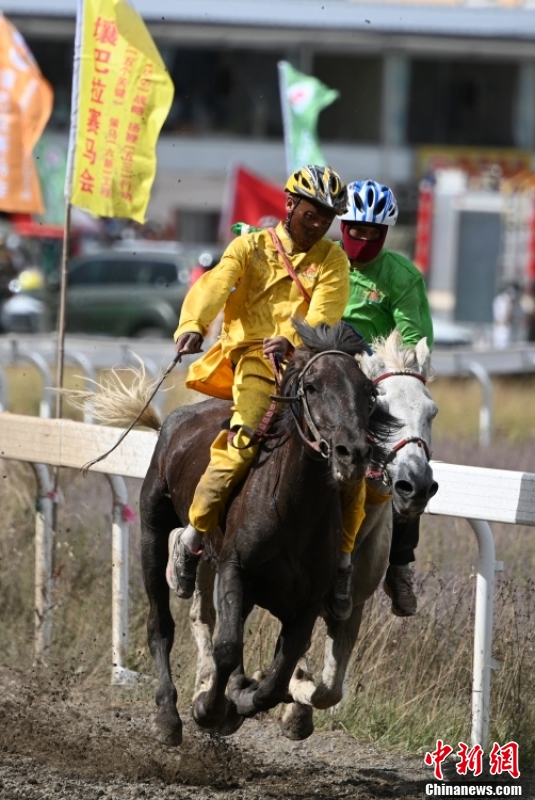 直击壤巴拉赛马大会|赛马_新浪新闻