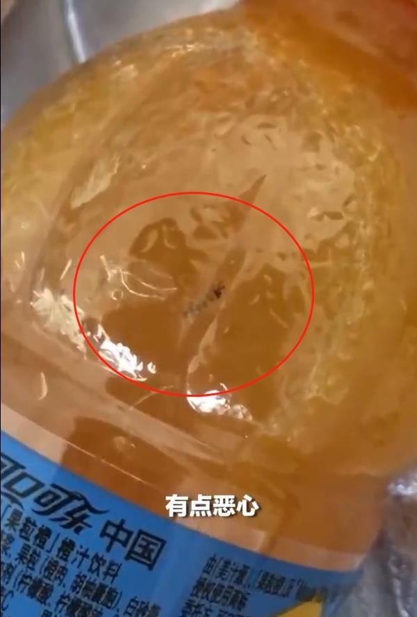 图源:媒体报道视频截图