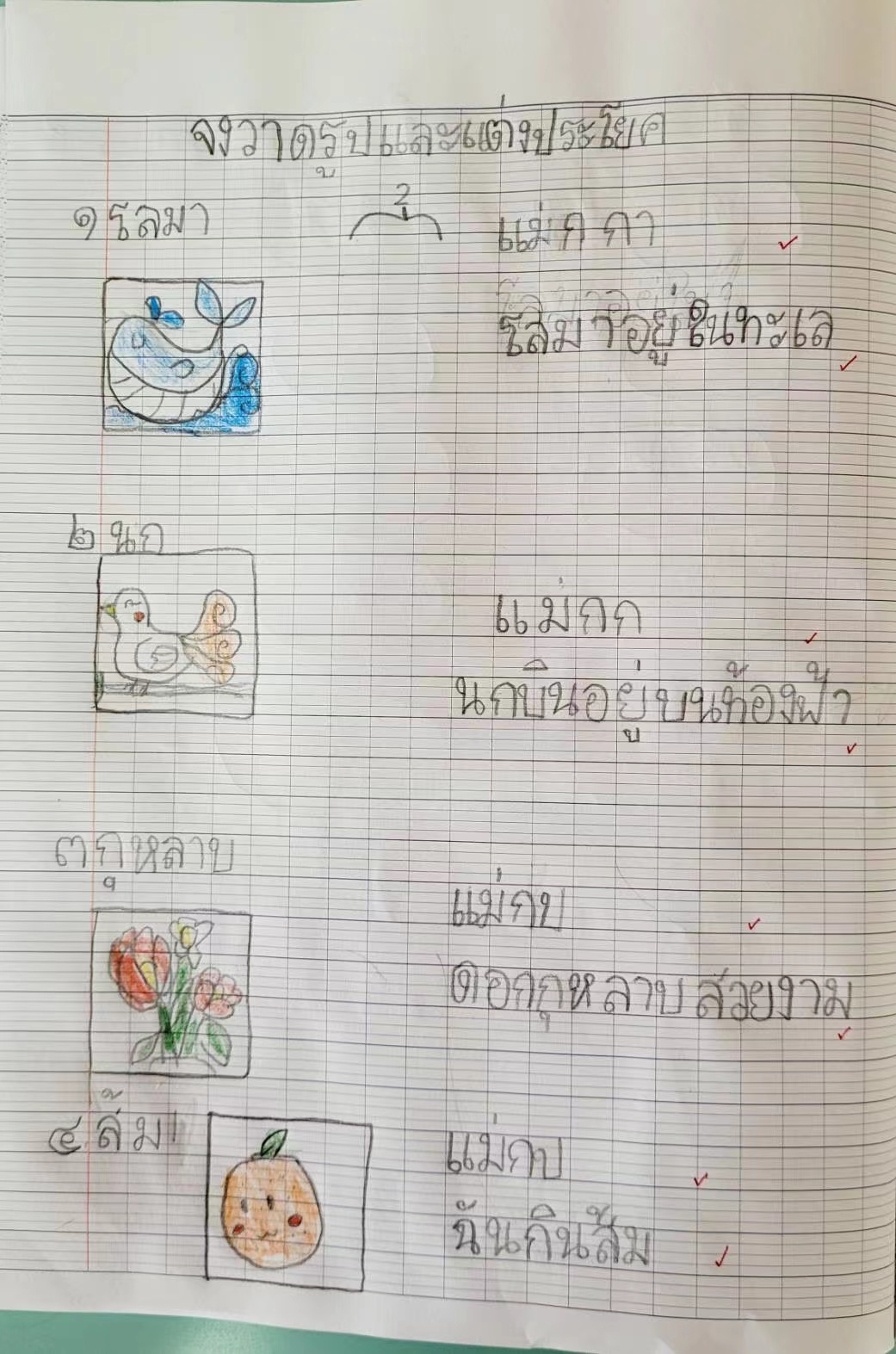 可乐的泰语作业 本文图片均为受访者供图