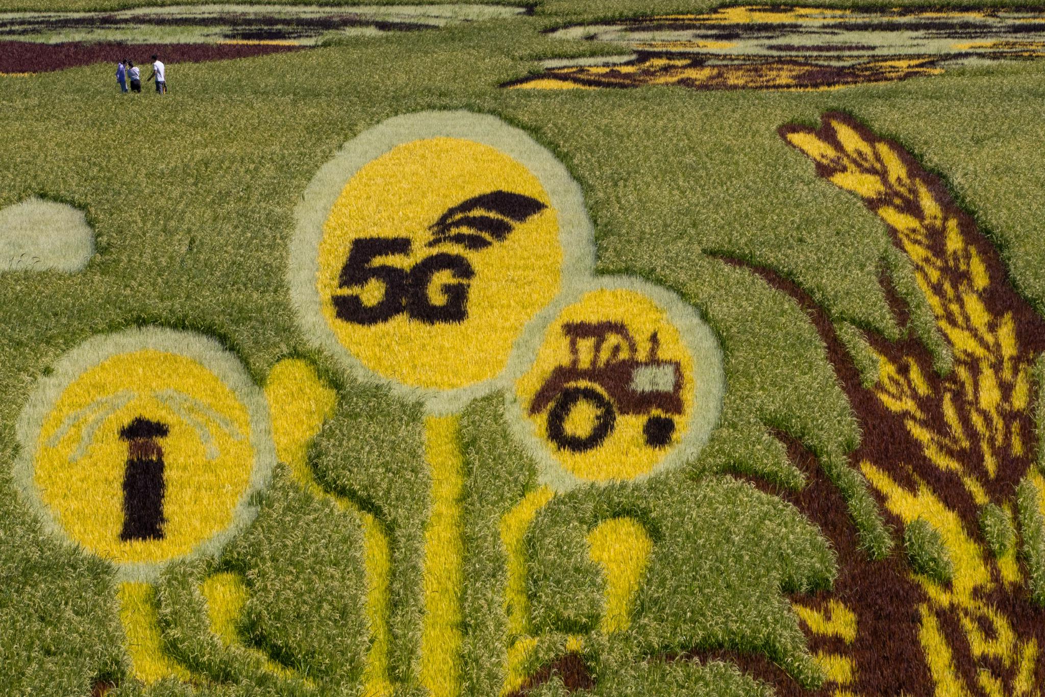 智慧农田让农业观光旅游玩出新花样