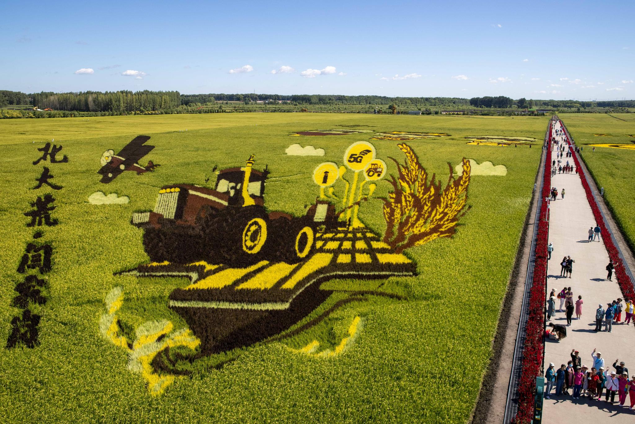 智慧农田让农业观光旅游玩出新花样