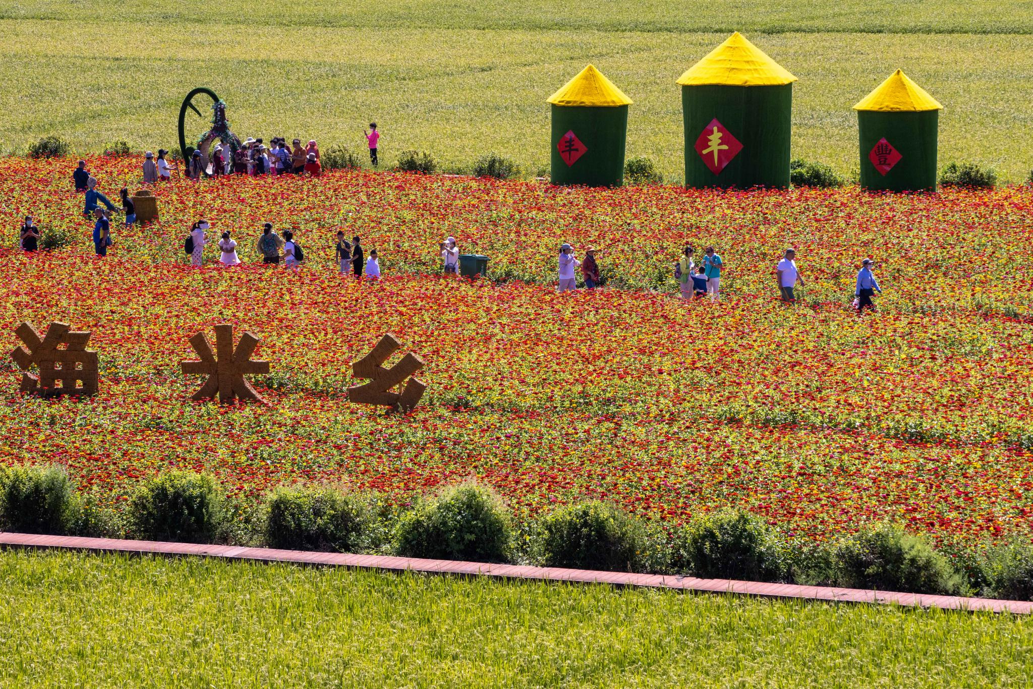 智慧农田让农业观光旅游玩出新花样