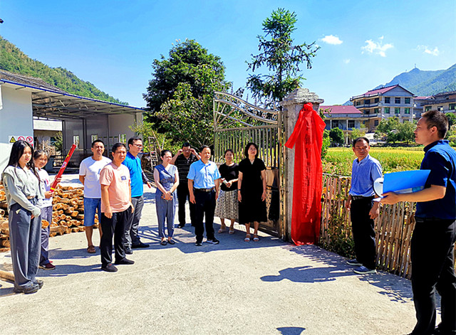 湖南新邵县潭溪镇乡村振兴下"竹"功夫创新路|溪镇|新邵县|乡村_新浪