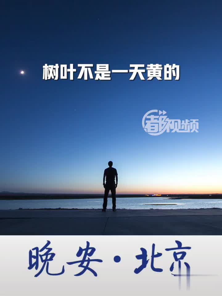 晚安北京树叶不是一天黄的人心不是一天凉的