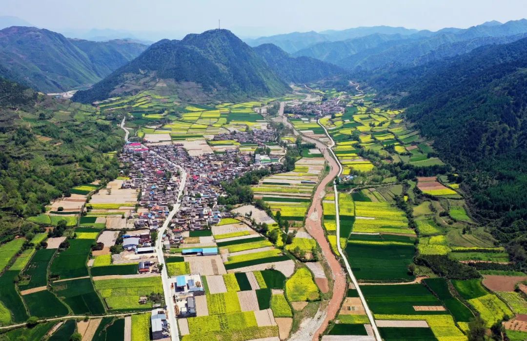 陇南市礼县小陇山下青林正美