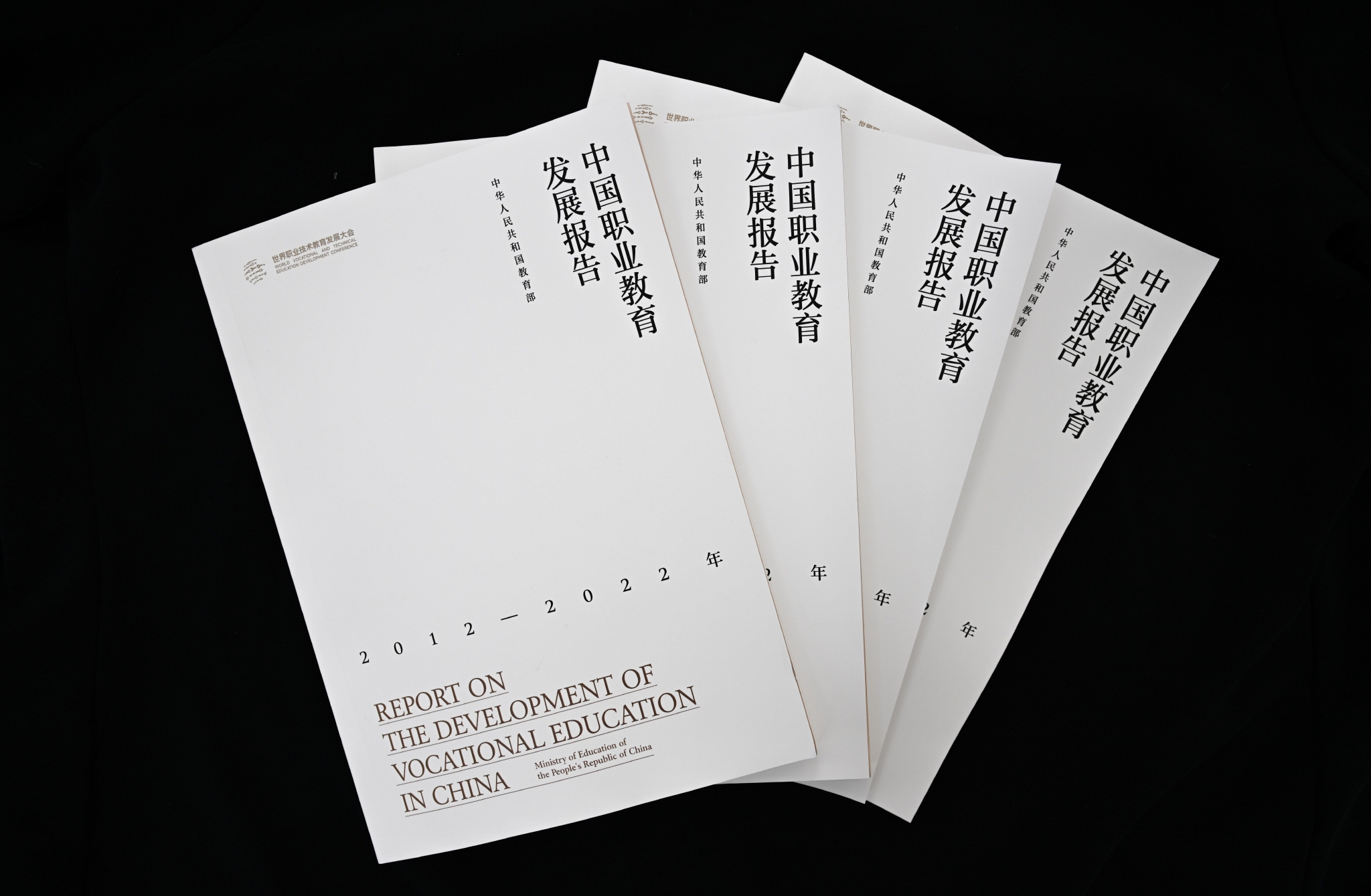 中国职业教育发展白皮书发布向世界分享中国经验