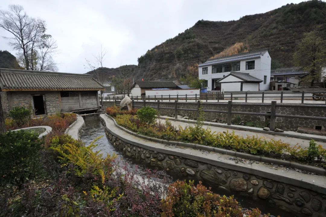 陇南市礼县小陇山下青林正美